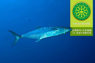 工廠化水產(chǎn)養(yǎng)殖專用漆的生態(tài)簡介