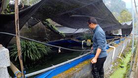 工廠化高密度水產(chǎn)養(yǎng)殖 圓桶刀刮布魚池循環(huán)水系統(tǒng)施工詳解