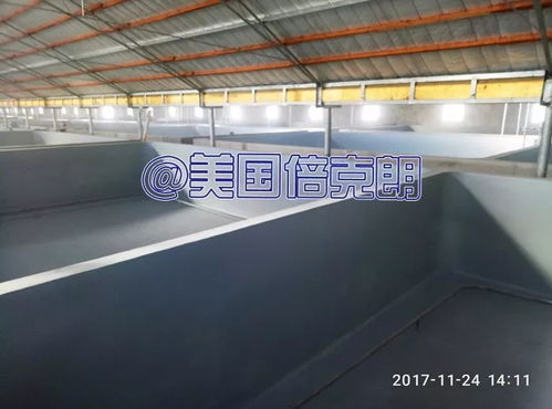 美國(guó)倍克朗攜手金盛水產(chǎn)共建水產(chǎn)養(yǎng)殖漆示范基地，引領(lǐng)行業(yè)綠色發(fā)展