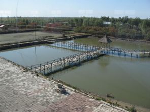 水產(chǎn)養(yǎng)殖業(yè)的發(fā)展前景