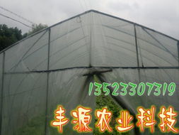 工廠化水產養(yǎng)殖系統(tǒng) 現(xiàn)代水產養(yǎng)殖的高效革命