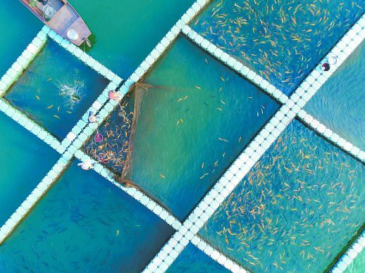 資興 冷水魚養(yǎng)殖富民 水產養(yǎng)殖譜新篇