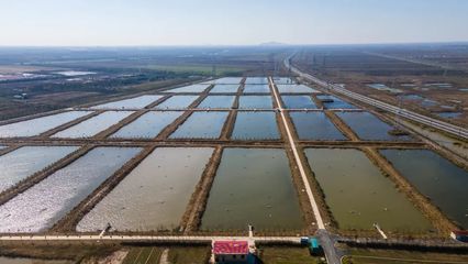 云湖集團領導深入香河公司調研水產養殖產業發展