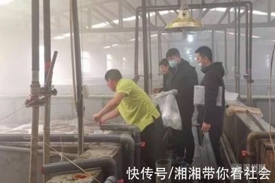 濱州市開(kāi)展冬季工廠化養(yǎng)殖水產(chǎn)品監(jiān)督抽查 20批次全部合格彰顯質(zhì)量安全